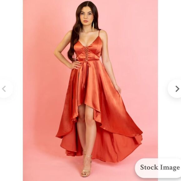 $228 JOYFOLIE SHELLY DRESS IN BRIGHT CLAY NWT MEDIUM - Picture 1 of 8